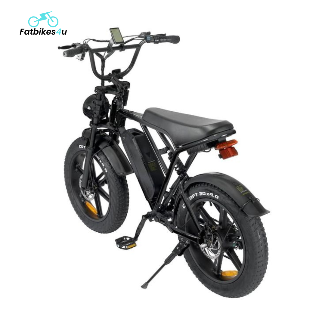 V20 Pro 2025 | Schwarz | Elektrisches Fatbike | 250W - Fatbikes4u