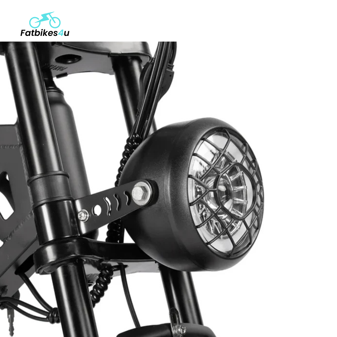 V20 Pro 2025 | Schwarz | Elektrisches Fatbike | 250W - Fatbikes4u
