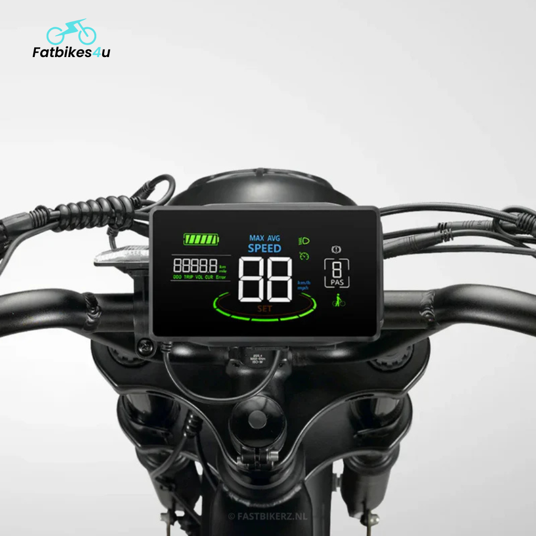 V20 Pro 2025 | Schwarz | Elektrisches Fatbike | 250W - Fatbikes4u