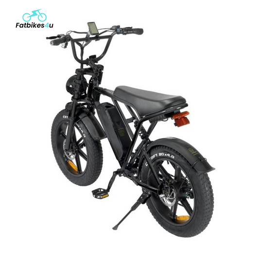 V20 Pro 2025 | Schwarz | Elektrisches Fatbike | 250W - Fatbikes4u
