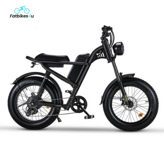 Z8 Pro E-Bike – 750W Motor | 45 km/u - Fatbikes4u