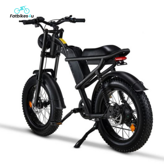Z8 Pro E-Bike – 750W Motor | 45 km/u - Fatbikes4u