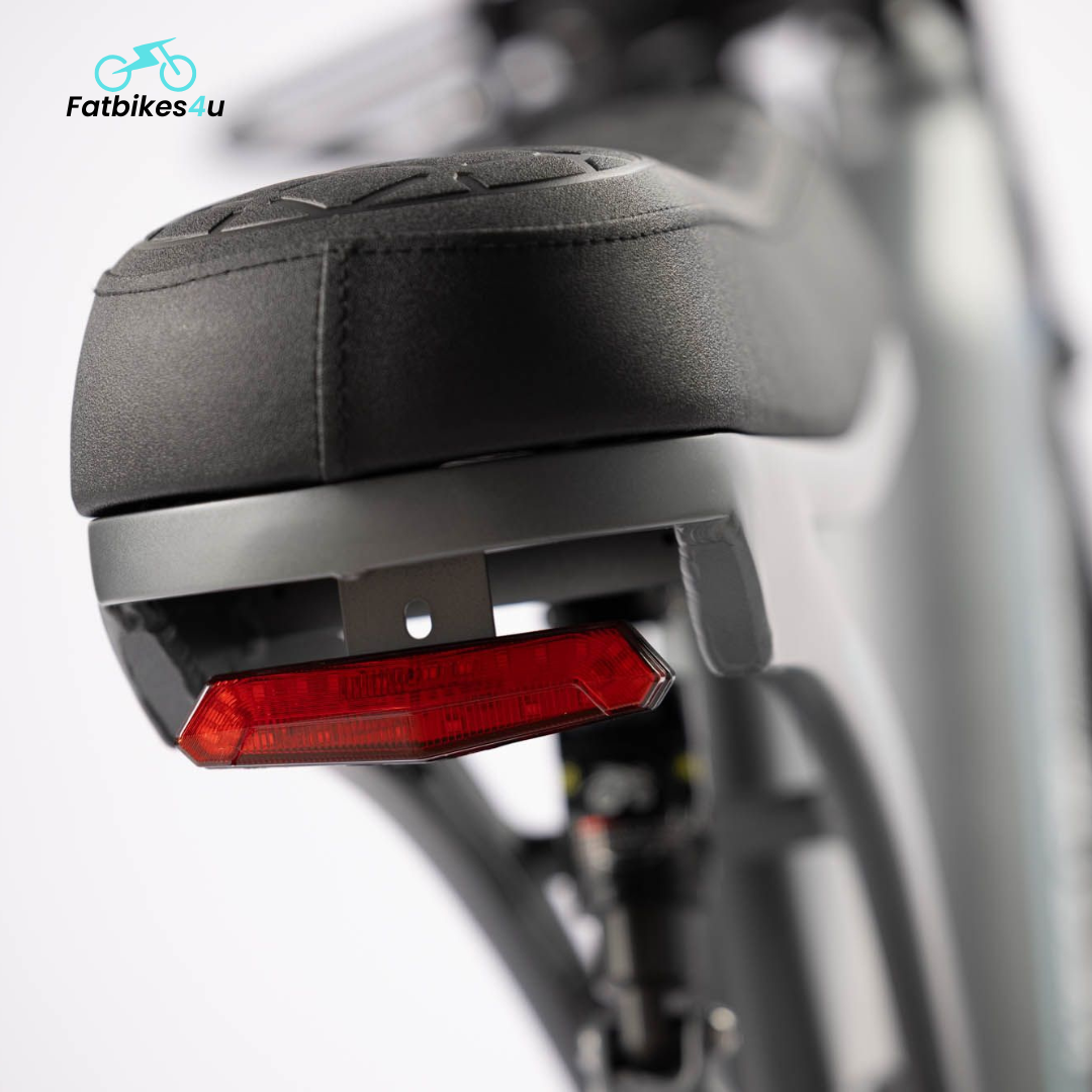 V20 Pro 2025 | Schwarz | Elektrisches Fatbike | 250W - Fatbikes4u